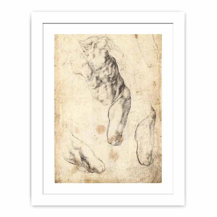 Studies of a Male Torso and Left Leg (verso)