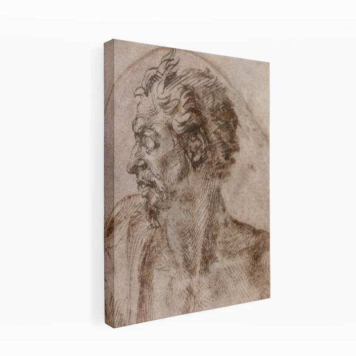 Head of a Satyr
