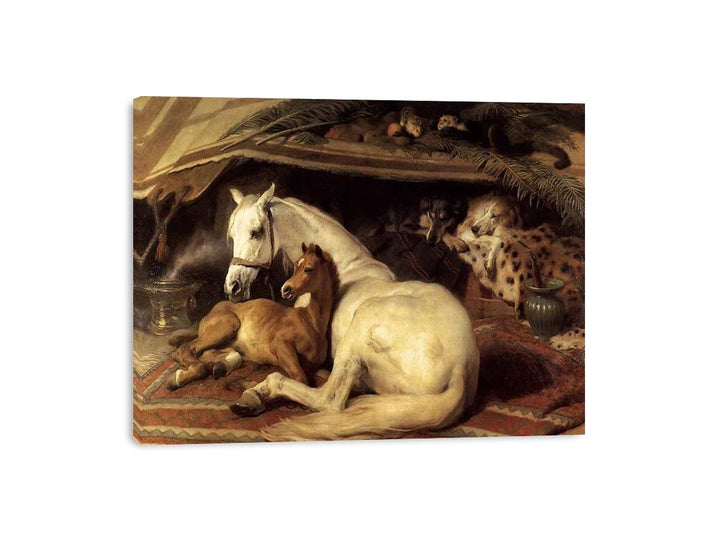 The Arab Tent 1866