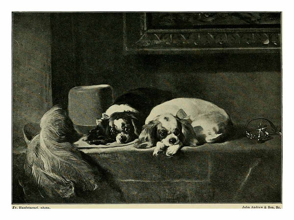  Landseer : a collection of fifteen pictures and a portrait of the painter