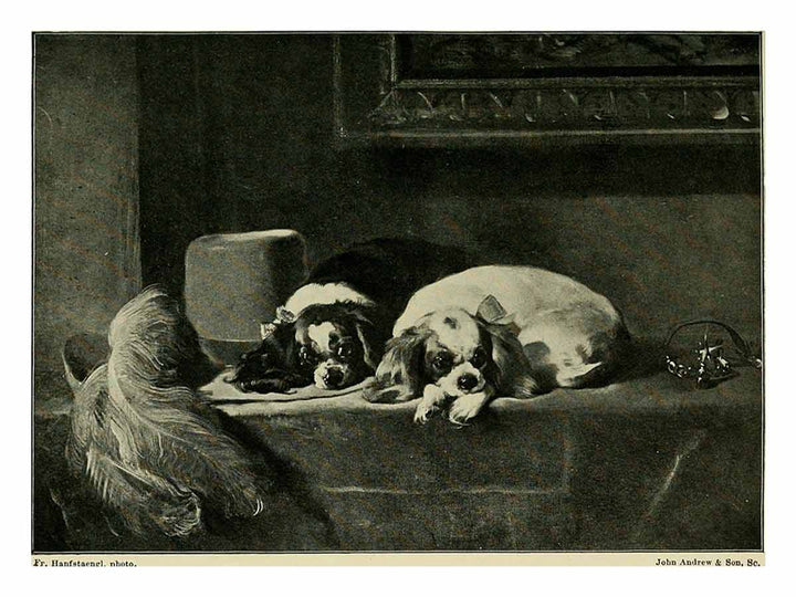  Landseer : a collection of fifteen pictures and a portrait of the painter