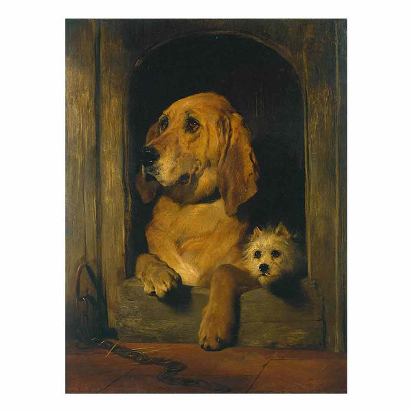 Dignity and Impudence 