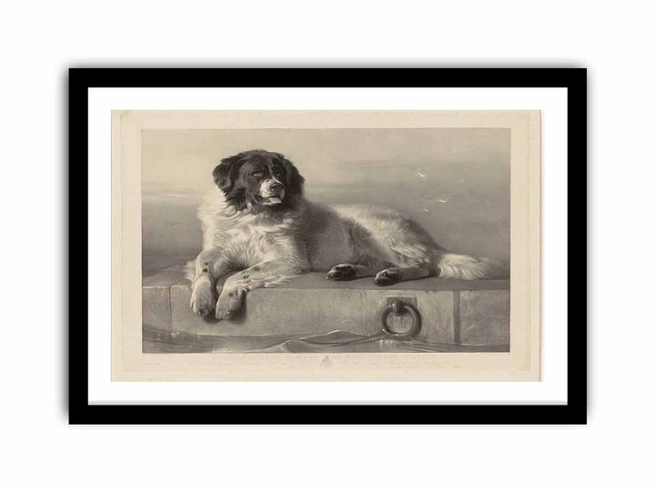 "A Distinguished Member of the Humane Society."