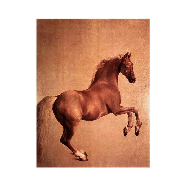 Whistlejacket 1761-62
