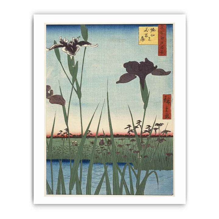 Horikiri Iris Garden (Horikiri no hanashōbu), from the series One Hundred Famous Views of Edo (Meisho Edo hyakkei)