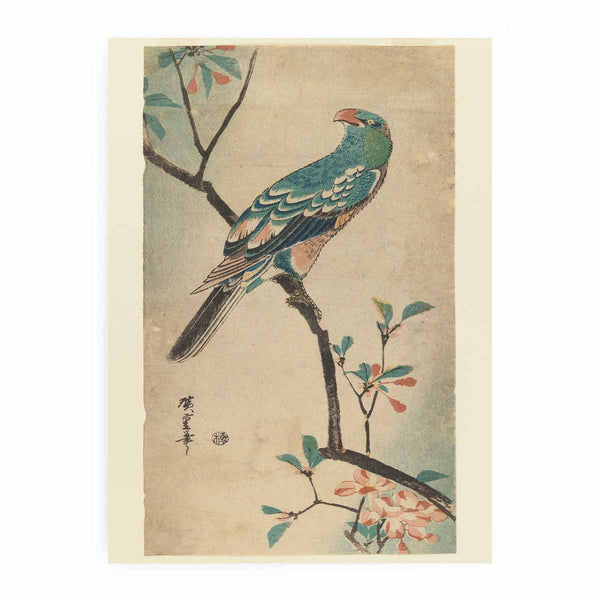 Green Parrot on a branch with red flowers