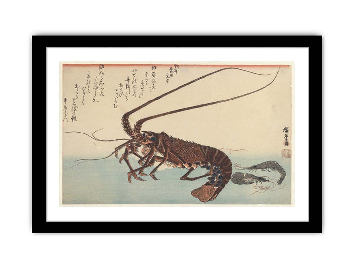 Crayfish and Two Shrimps