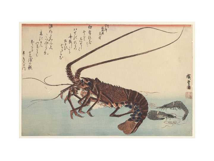 Crayfish and Two Shrimps