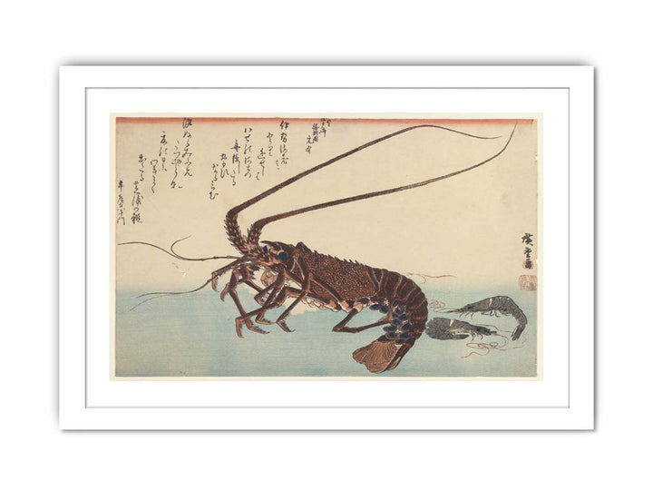 Crayfish and Two Shrimps