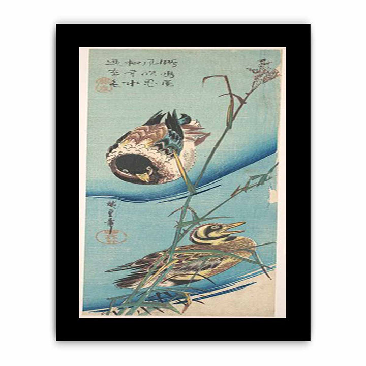 Mallard Ducks and Snow-covered Reeds MET