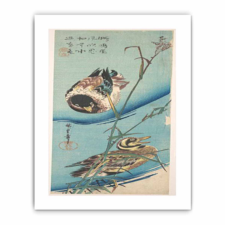 Mallard Ducks and Snow-covered Reeds MET