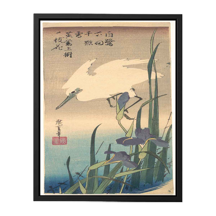 White Heron and Iris