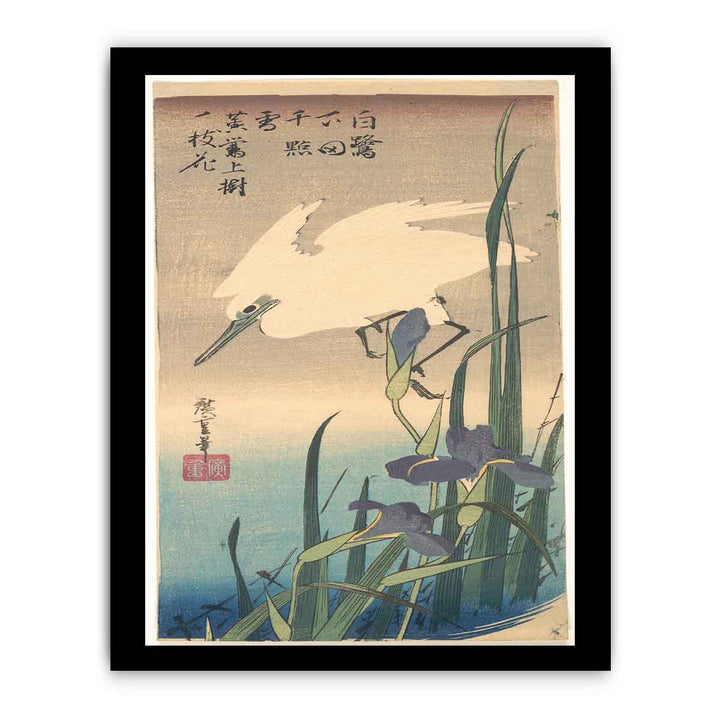 White Heron and Iris