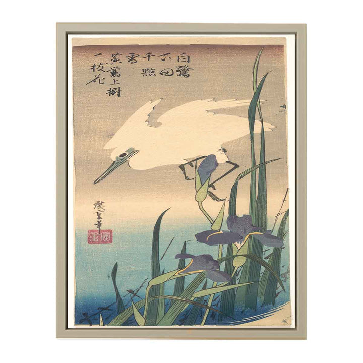 White Heron and Iris