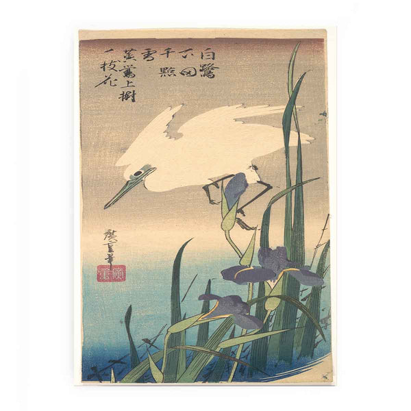 White Heron and Iris