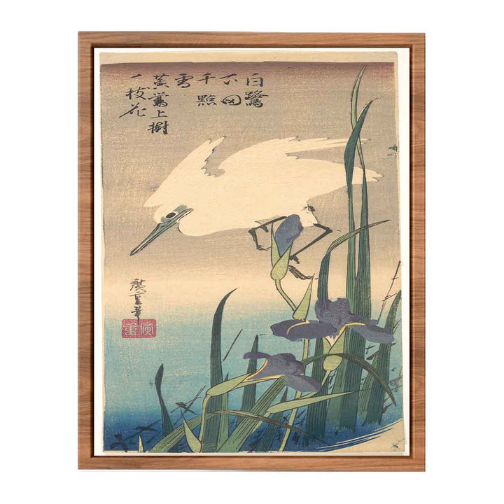 White Heron and Iris