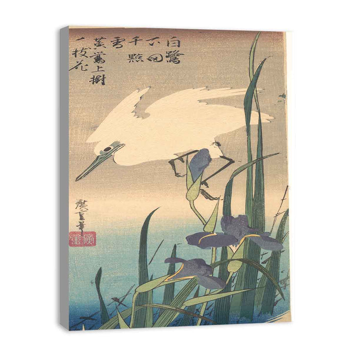 White Heron and Iris