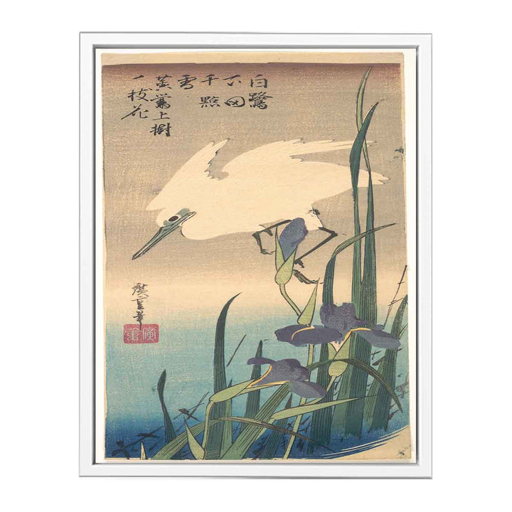 White Heron and Iris