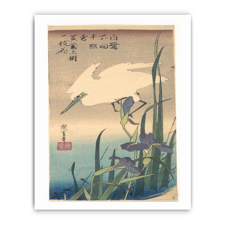 White Heron and Iris