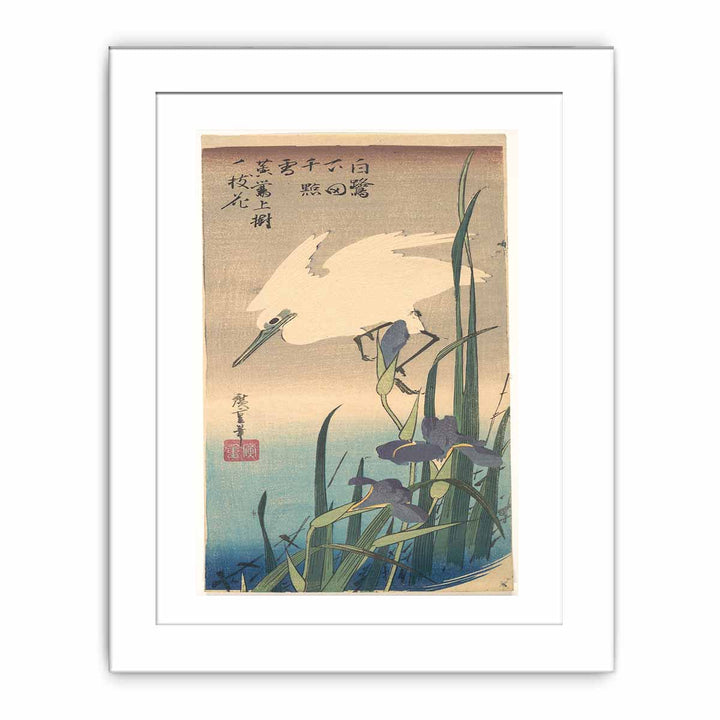 White Heron and Iris