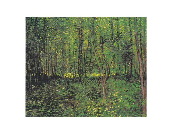 tree And Undergrowth By Van Gogh