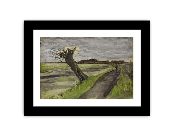 Pollard Willow By Van Gogh