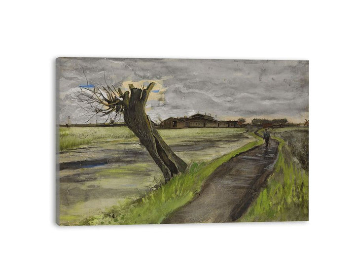 Pollard Willow By Van Gogh
