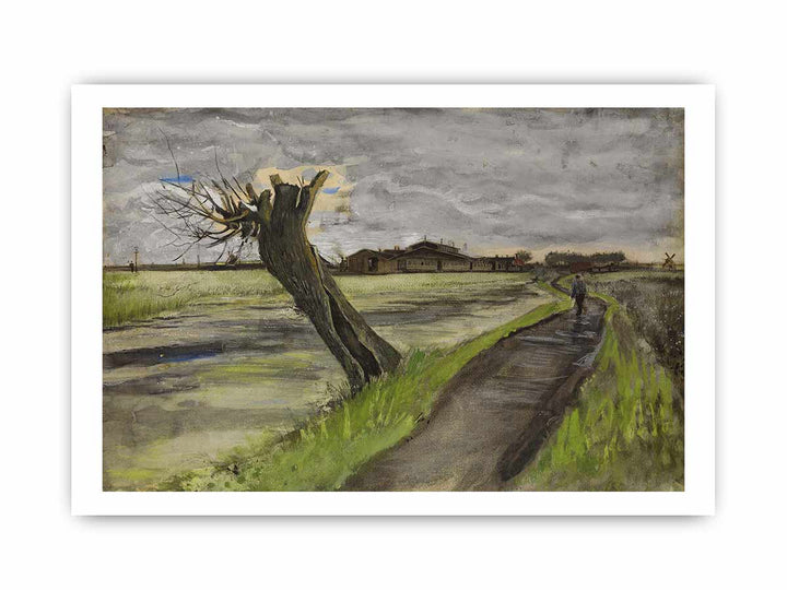 Pollard Willow By Van Gogh