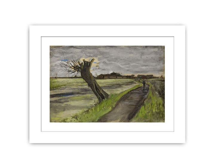 Pollard Willow By Van Gogh