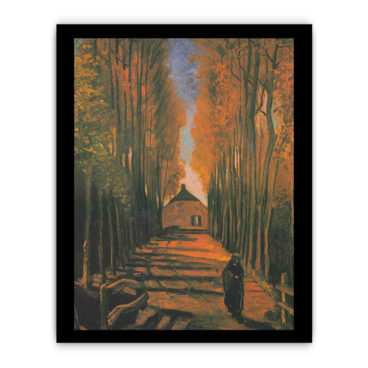 Poplars in autumn