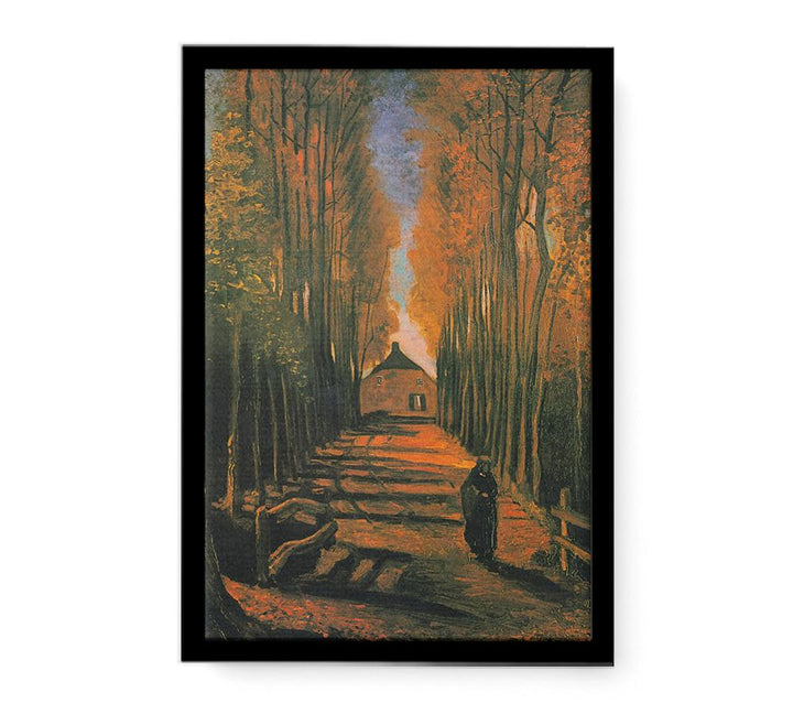 Poplars in autumn