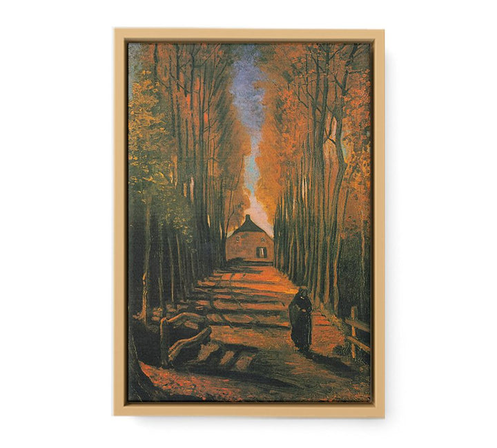 Poplars in autumn
