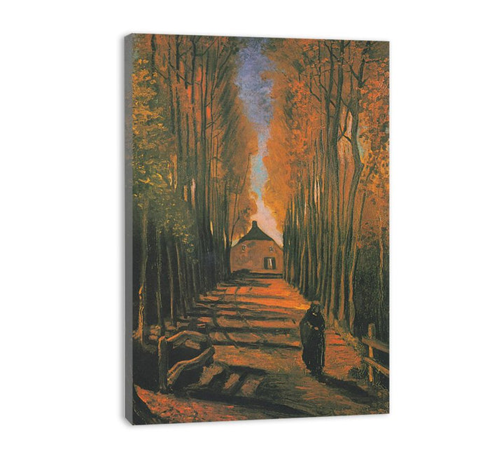 Poplars in autumn