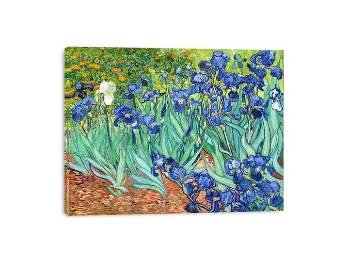 Irises By Van Gogh Painting