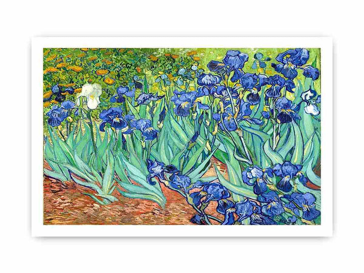 Irises By Van Gogh Painting