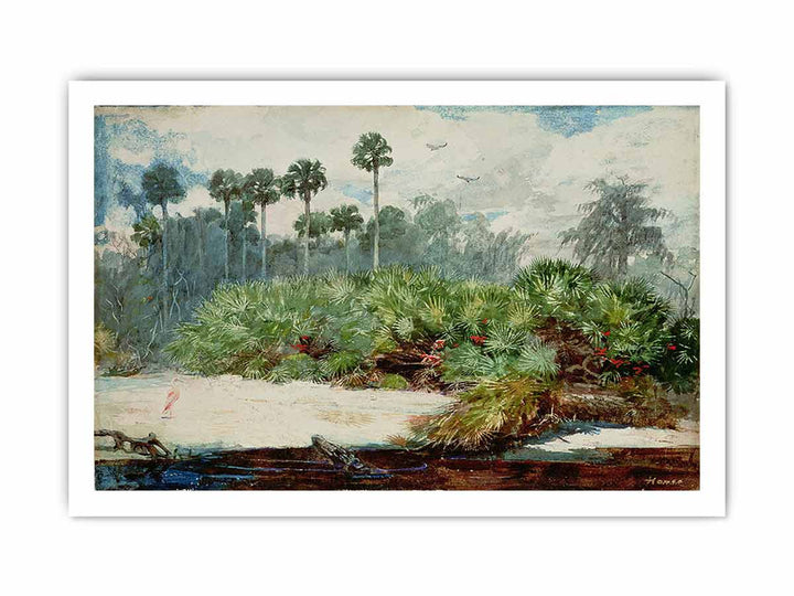 Florida Jungle