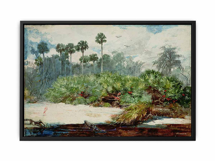 Florida Jungle