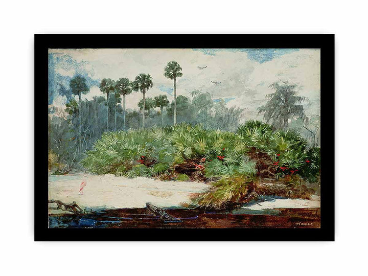 Florida Jungle