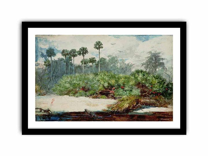 Florida Jungle