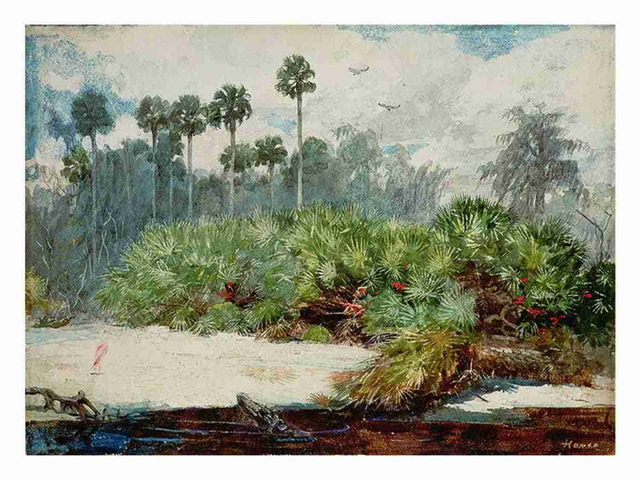 Florida Jungle