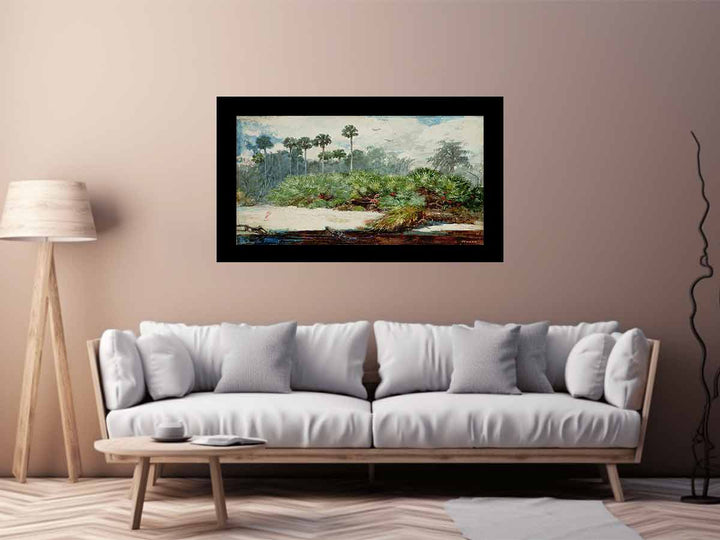 Florida Jungle