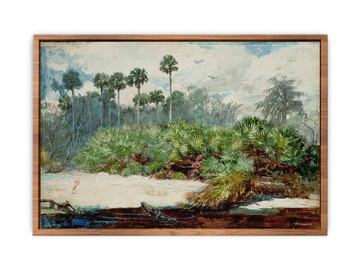 Florida Jungle