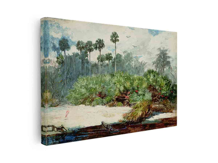 Florida Jungle
