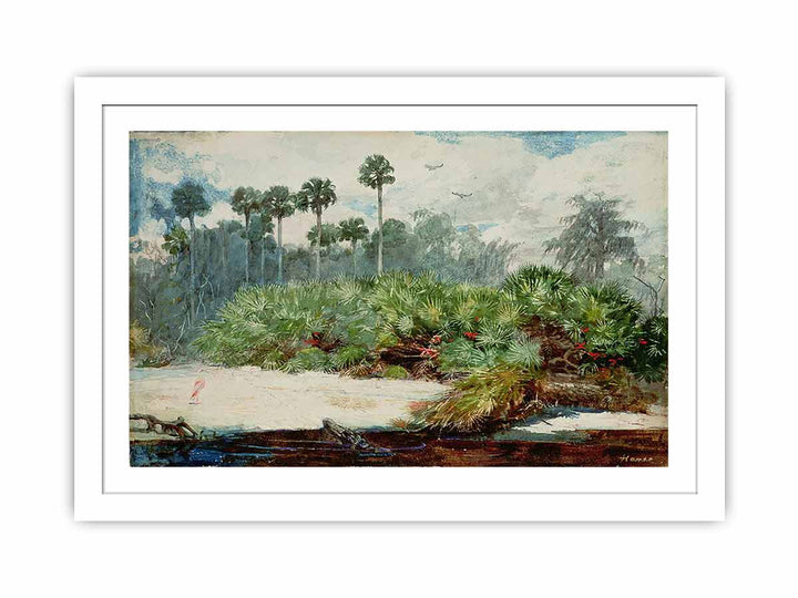 Florida Jungle