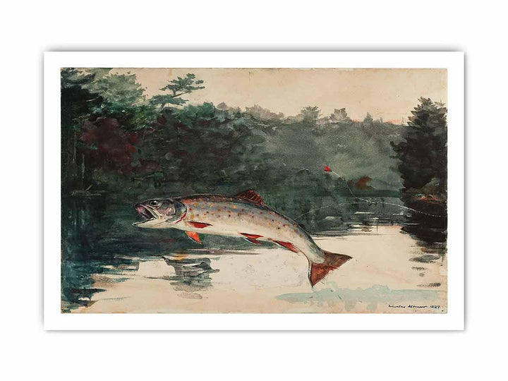 Leaping Trout