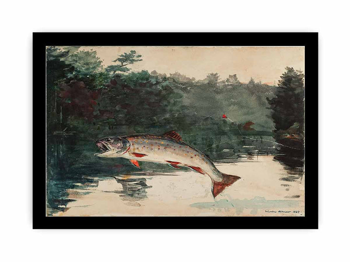 Leaping Trout