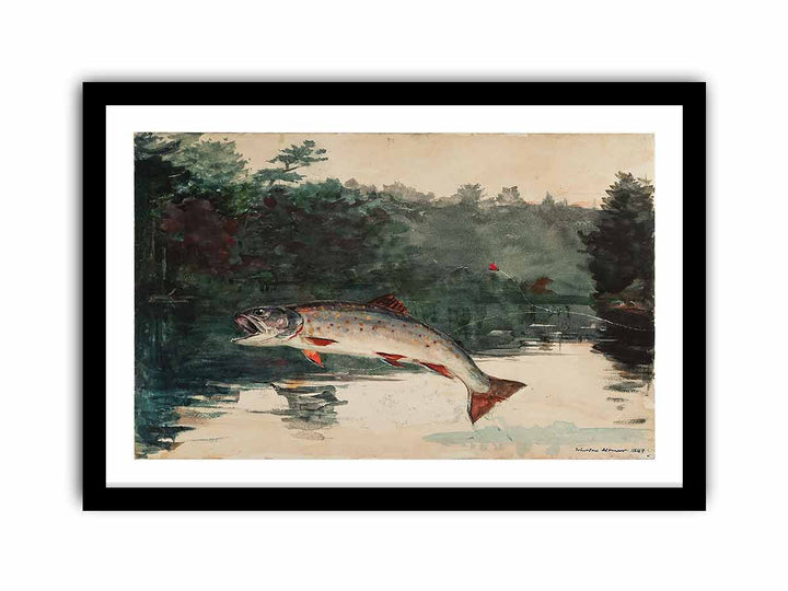 Leaping Trout