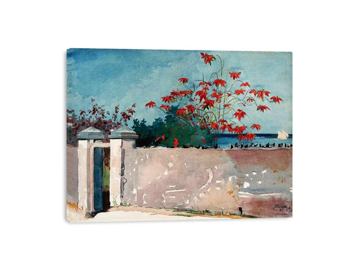 A Wall, Nassau  Painting