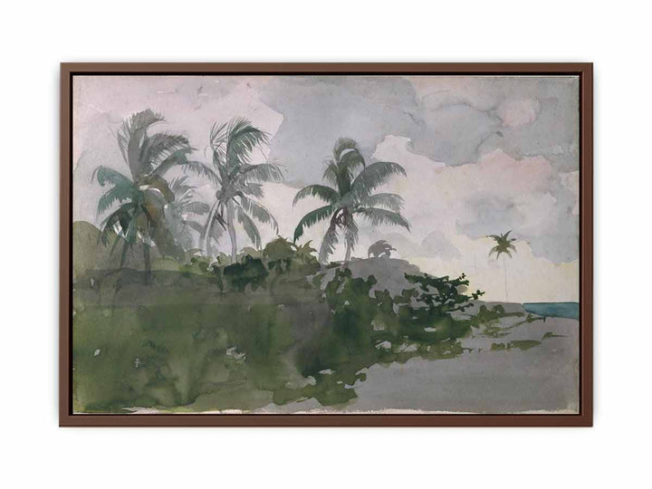 Coconut Palms
