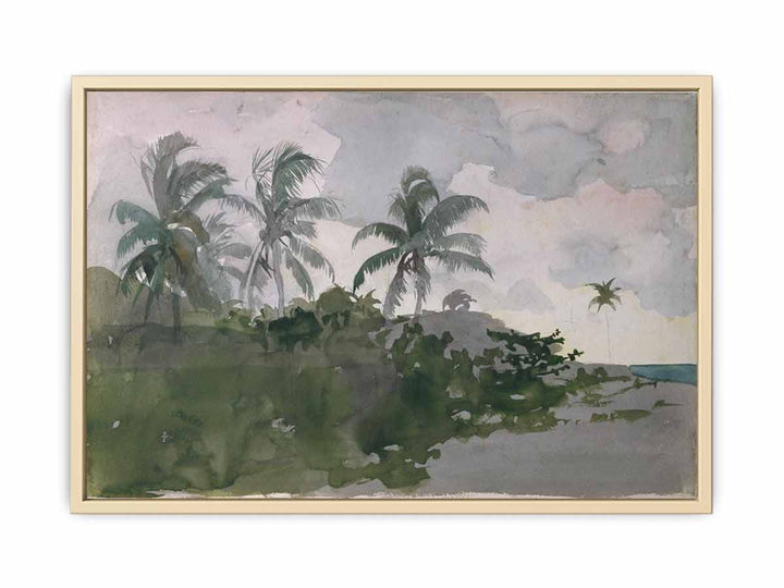 Coconut Palms